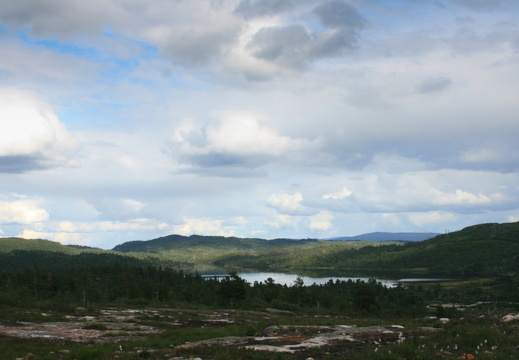 norge2010-13