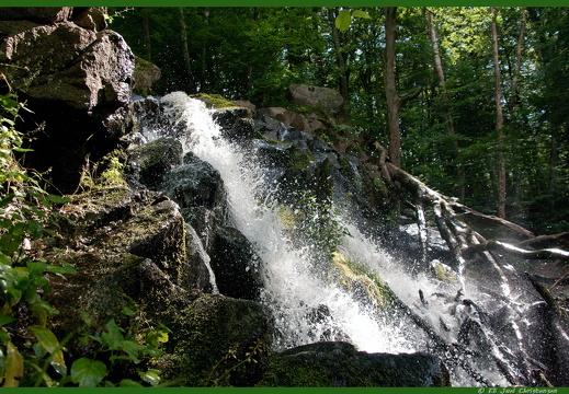 Bornholm 2011