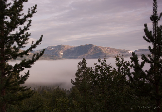 Norge 2012 MG 1075 06-08-12