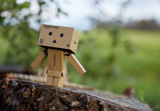Danbo 07-11-19 HN6A2335