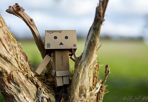Danbo 07-11-19 HN6A2332