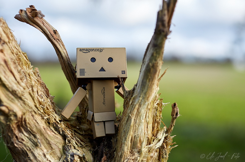 Danbo_07-11-19_HN6A2332.jpg