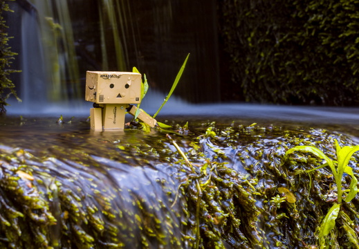 DanBo MG 4781 25-05-15