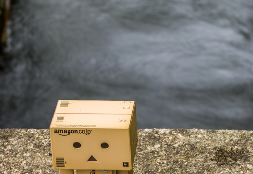 DanBo MG 4794 25-05-15