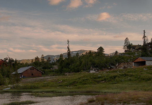Halbjonn  MG 2235 HDR juli 20, 2014