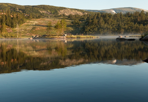 Hallbjønn  MG 2277 juli 21, 2014