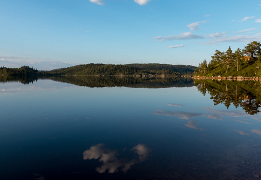 hallbjønn  MG 2326 juli 22, 2014