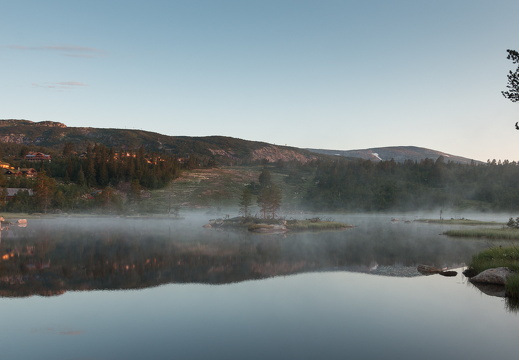 hallbjønn  MG 2405 juli 26, 2014