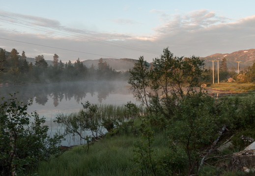 hallbjønn  MG 2411 juli 26, 2014