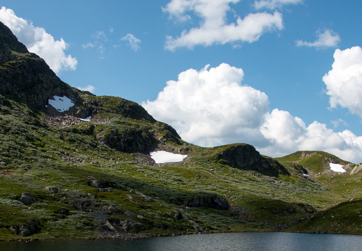 Kuskard  MG 2346 juli 23, 2014