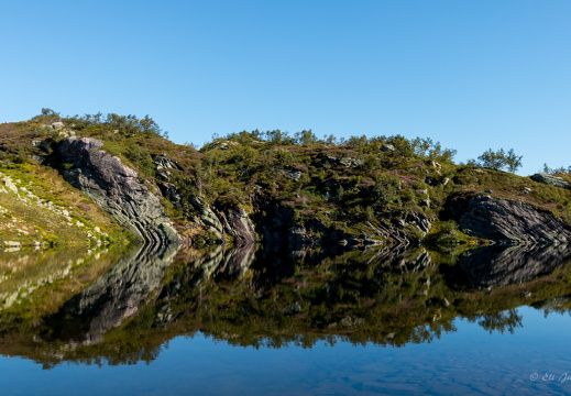 Norge 2016 MG 8037 17-08-16