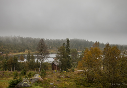 Norge 2016 MG 8067 20-08-16