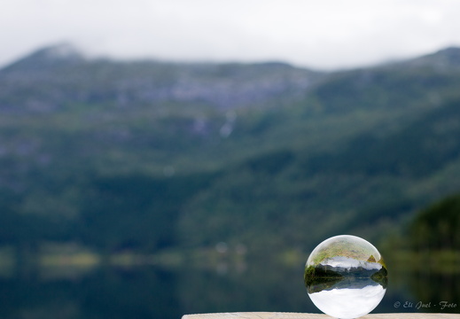 Fitjadalen MG 0798 08-08-17