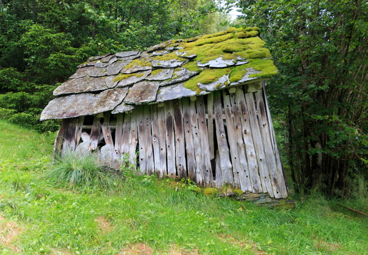 Norge 2017 MG 0691 04-08-17