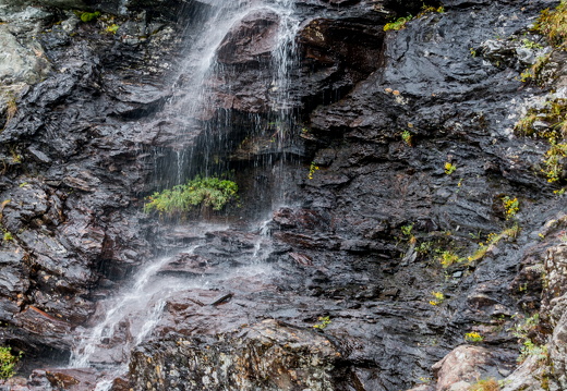 Norge 2017 MG 0734 07-08-17