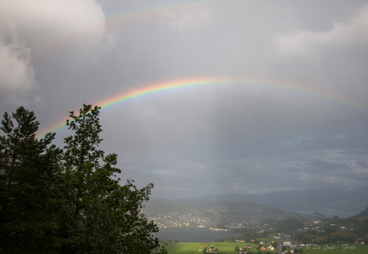 Norheimsund 2017 MG 0742 07-08-17