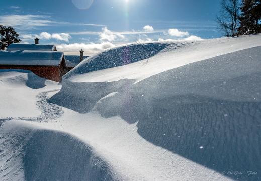 Snelandskab MG 9842 09-03-17