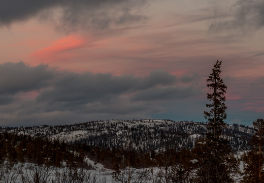 Snelandskab MG 9863-Pano 09-03-17