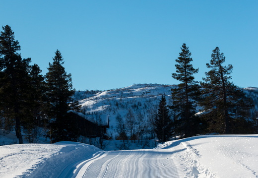 Snelandskab MG 9880 10-03-17