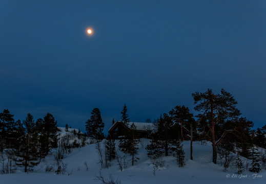 Snelandskab MG 9892 10-03-17