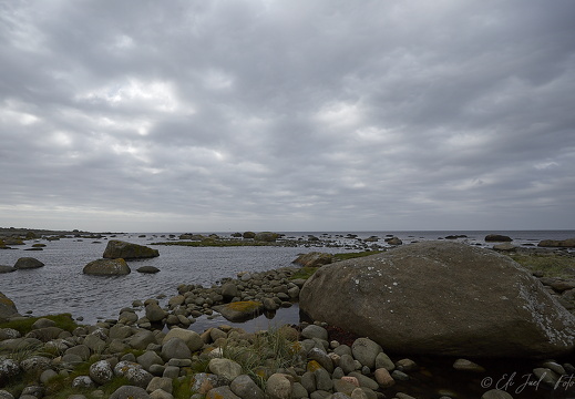 Stavstø 21-08-20 IMG 1371