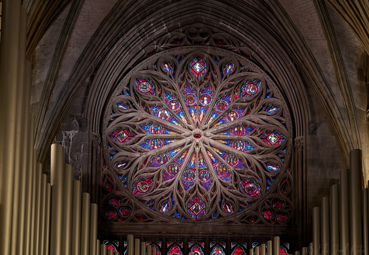 Norge Nidarosdomen 25-07-23 EJC 7582