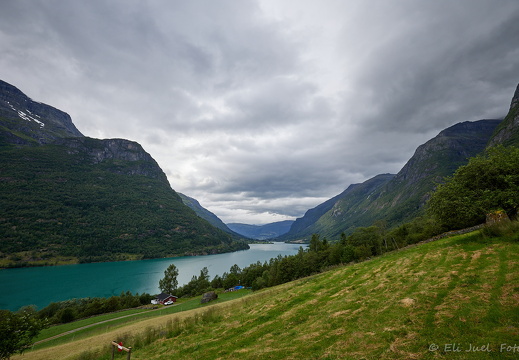 Gjerde 29-06-24 EJC 8804