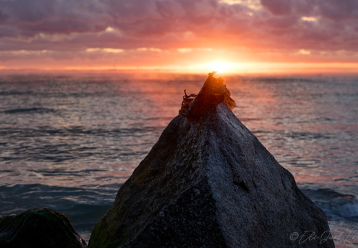 morgen lys EJC 0491 19-10-25