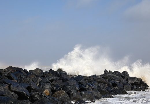 Thyborøn EJC 0739 05-04-26